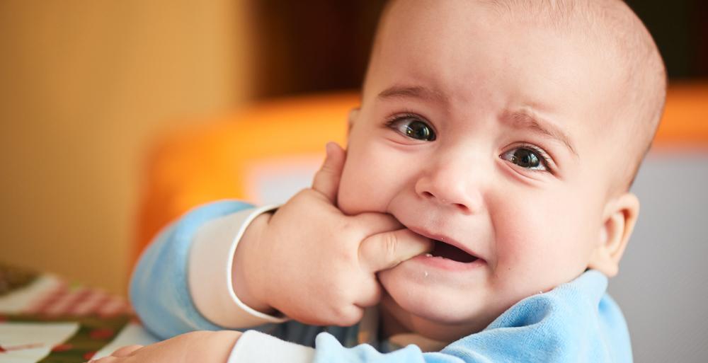 Começaram a nascer os primeiros dentes do bebê. Como lidar com o incômodo?